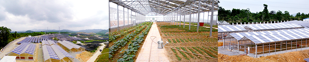 Tunchang 20MW Modern Agricultural Solar Grid-Connected Power Station Demonstration Project(圖3)