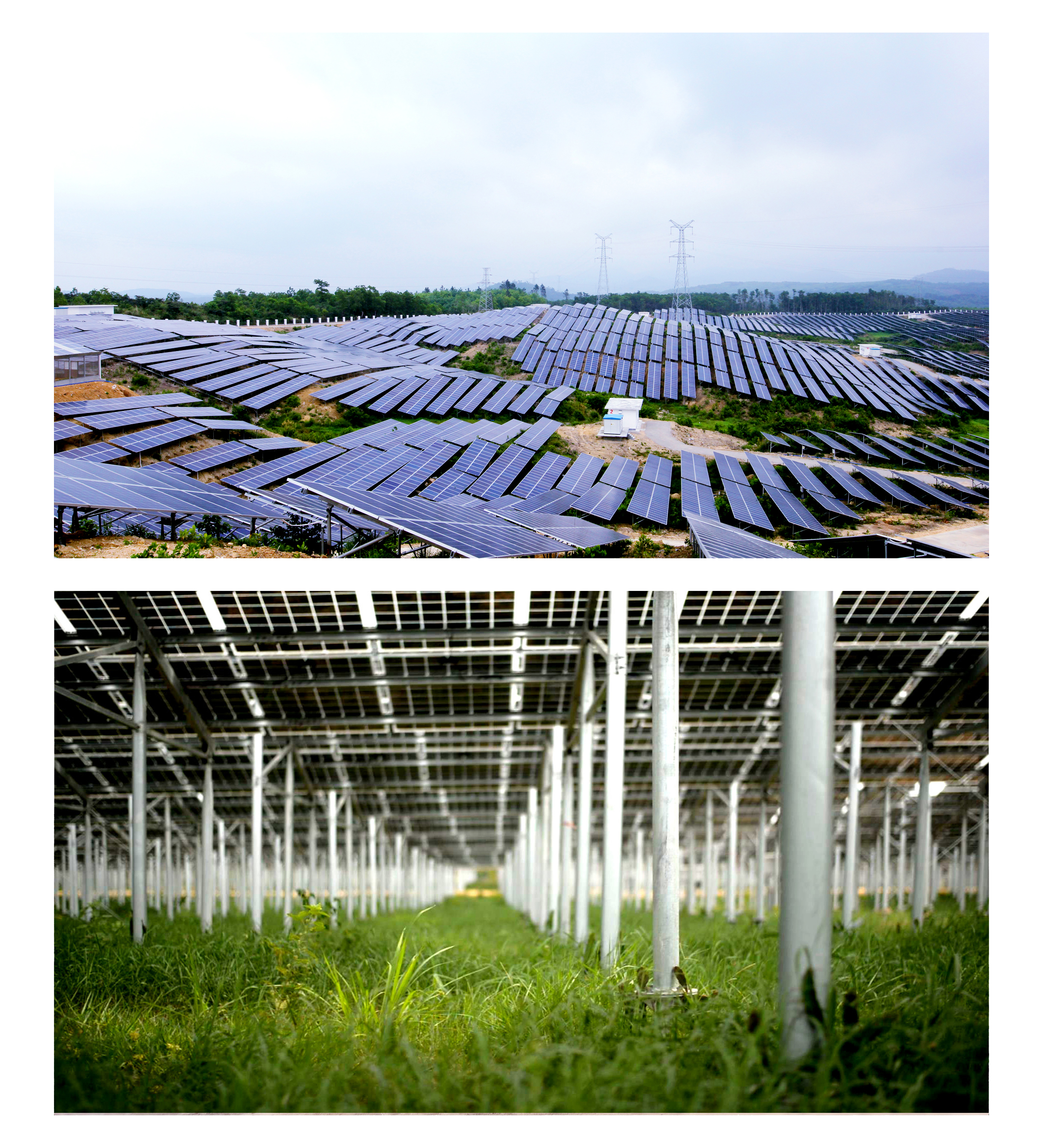 China Power International Development Limited.Changjiang 20MW Photovoltaic Agricultural Comprehensiv(圖1)